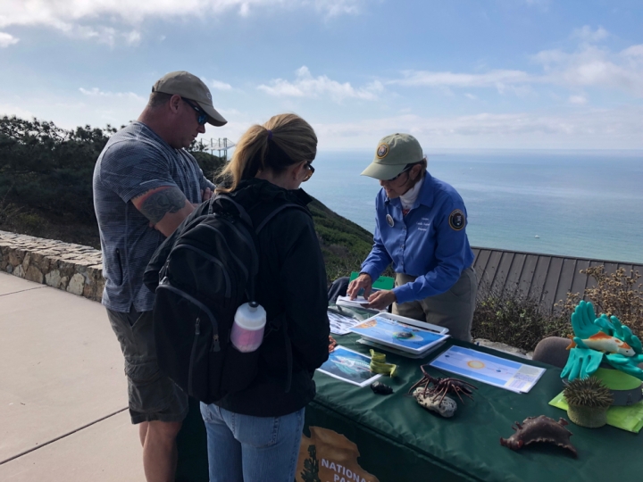 Park volunteer Mary Rose stands outside at a green table with pictures of tidepool animals. She holds a photo to show two park visitors a picture of an animal.