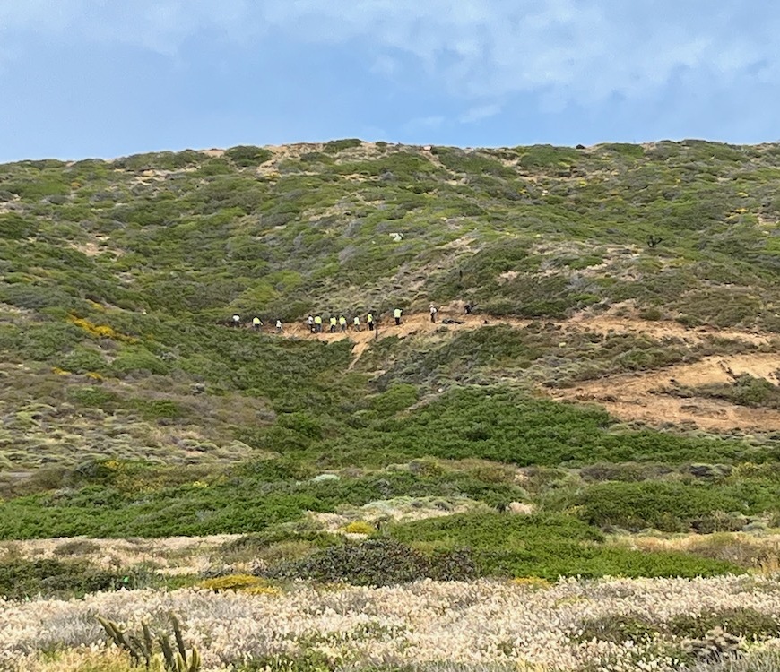 People building a trail on the side of a hill.